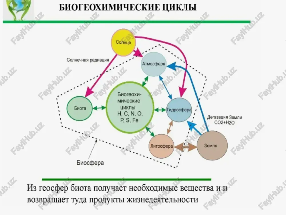 bioximik aylanma harakat — PPTX