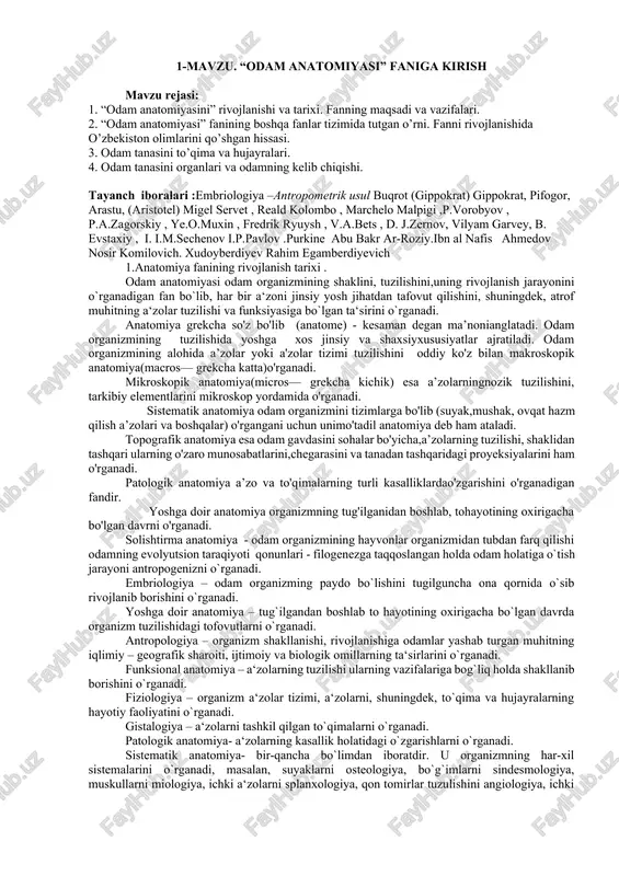 odam anatomiyasi — DOCX