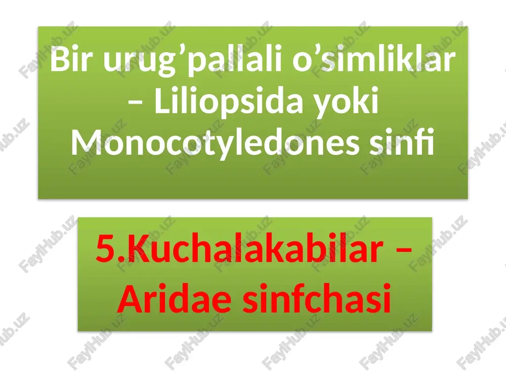 kuchalakabilar–aridaesinfchasi — PPTX