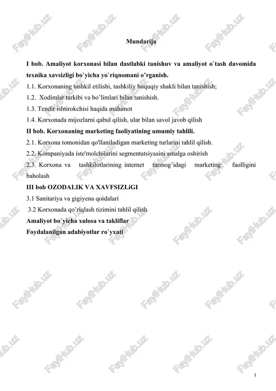 mchj amaliyot hisoboti — DOCX