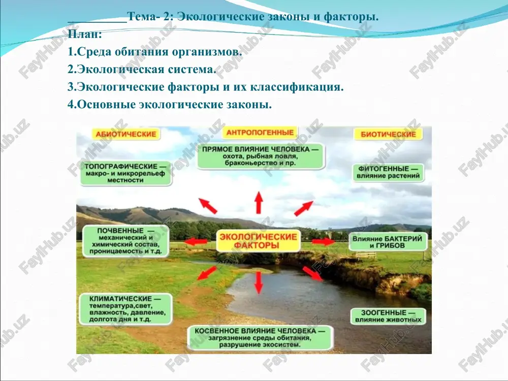ekologiya — PPT