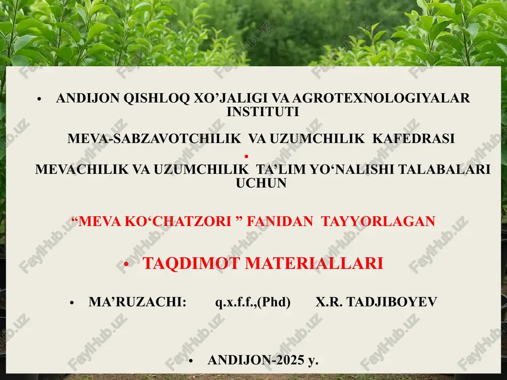meva ko‘chatzori — PPTX