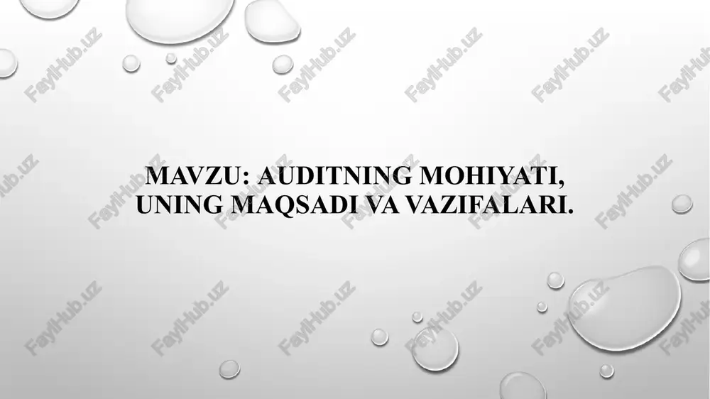 auditning mohiyati, uning maqsadi va vazifalari — PPTX
