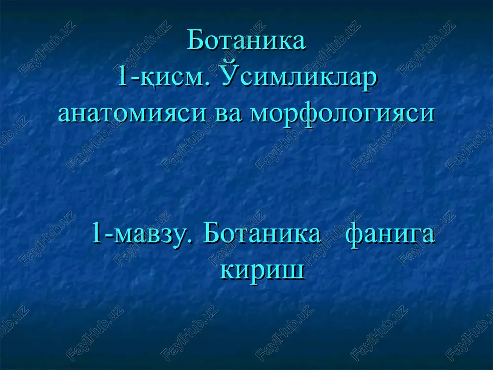 botanika — PPT