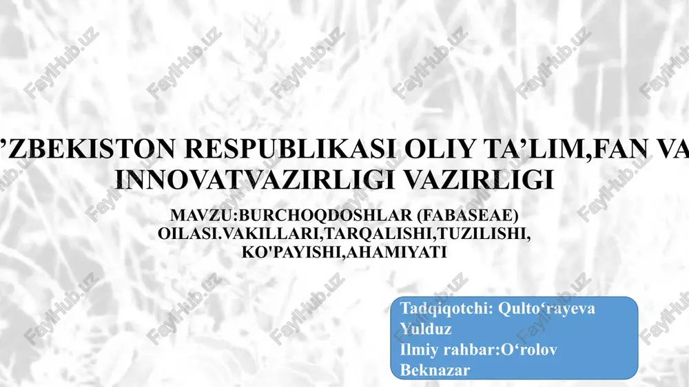 burchoqdoshlar (fabaseae) oilasi — PPTX