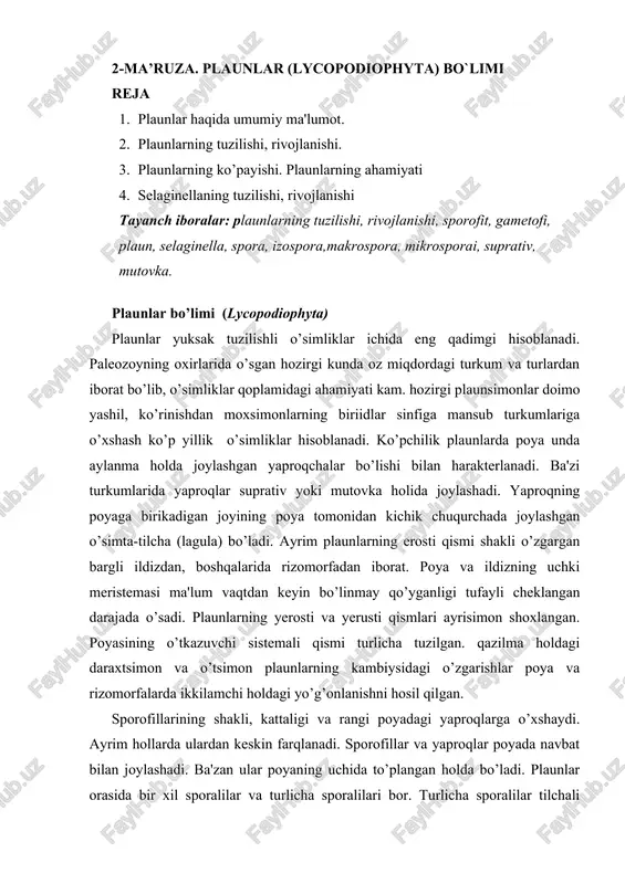 plaunlar (lycopodiophyta) — DOCX