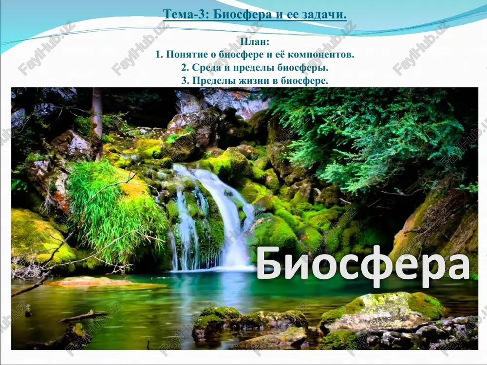 biosfera — PPT