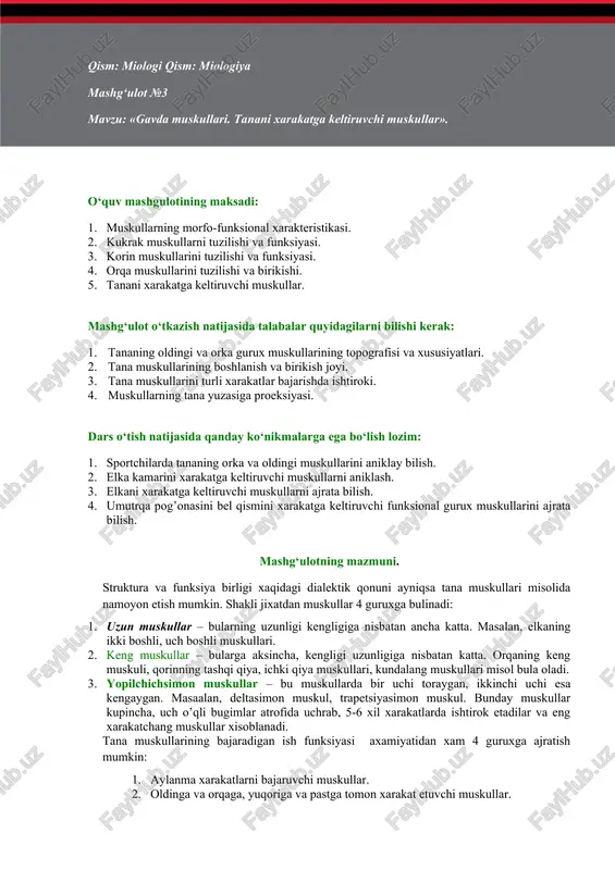 tanani xarakatga keltiruvchi muskullar — DOCX