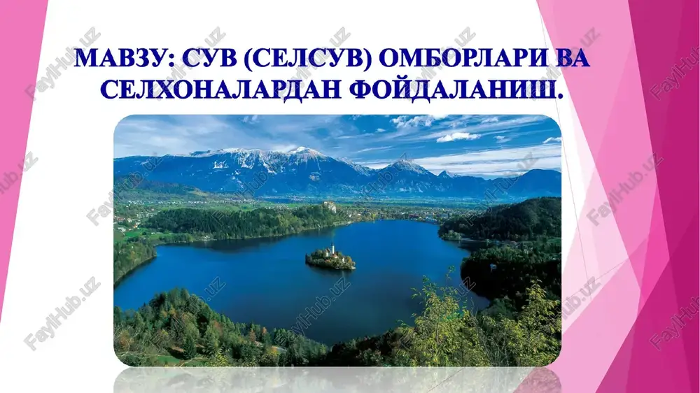 cyb (cejicyb) ombopjiaph ba cejixohajiapiah ®omjajiahhmii — PPT