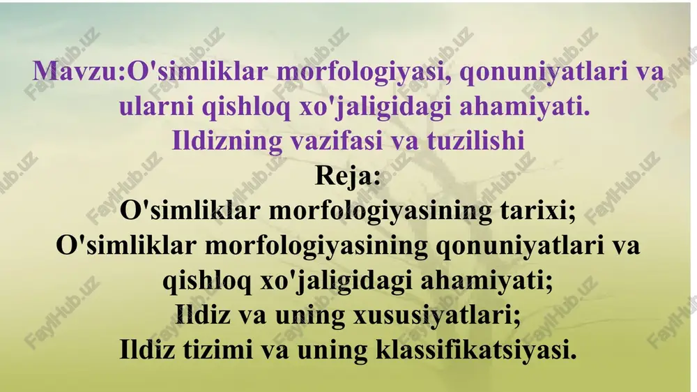 o'simliklar morfologiyasi — PPT