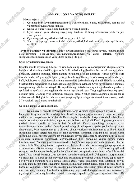 qo`l va oyoq skeleti — DOCX