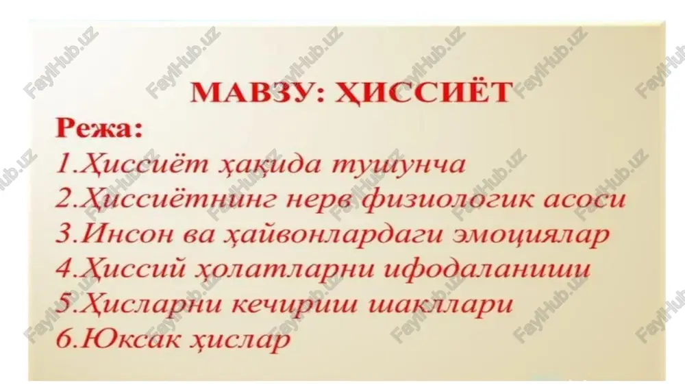 mab3y: xhcchet — PPTX