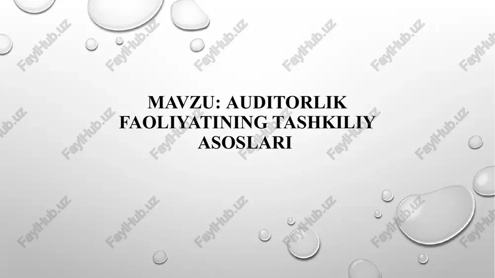 auditorlik faoliyatining tashkiliya asoslari — PPTX