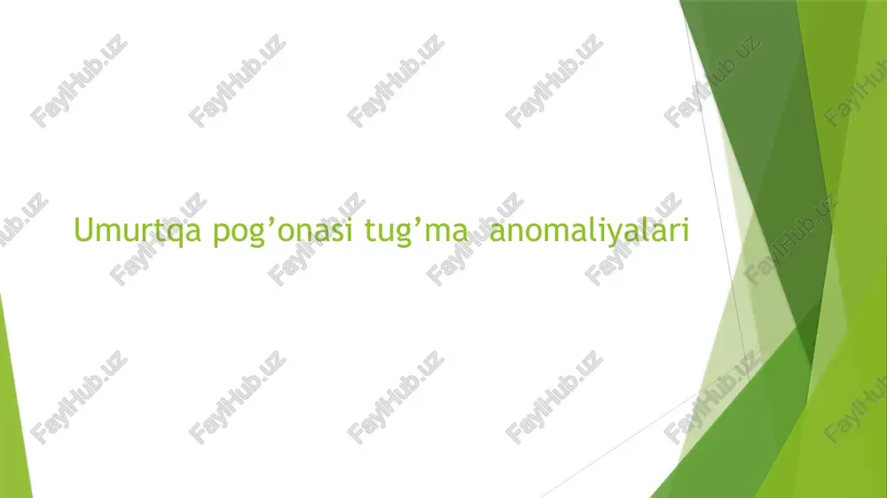 umurtqapog'onasituzilishivafunktsiyasi — PPTX