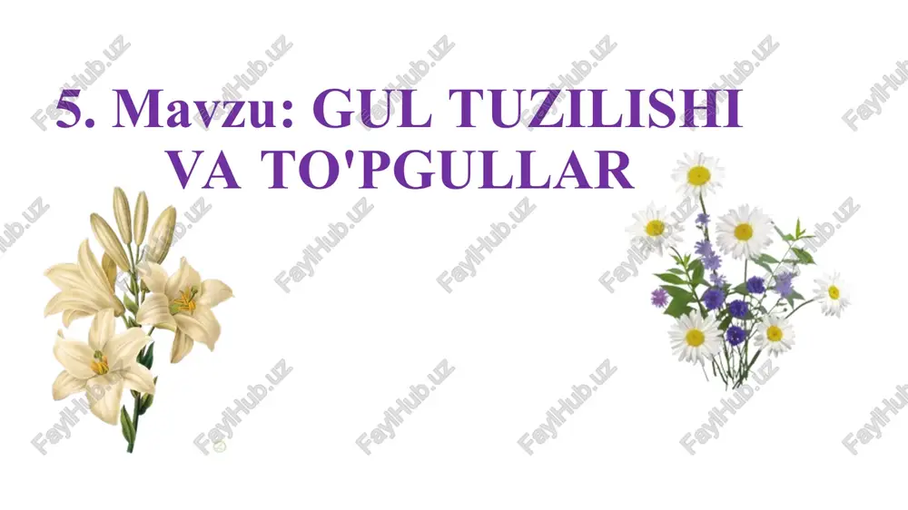 gul tuzilishi va to'pgullar — PPT