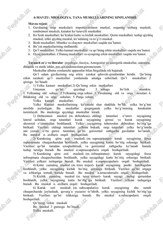 miologiya. tana muskullarining sinflanishi — DOCX