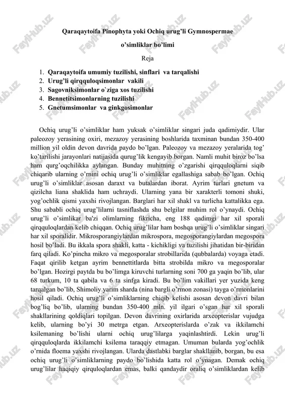 ochiq urug’li o’simliklar — DOCX