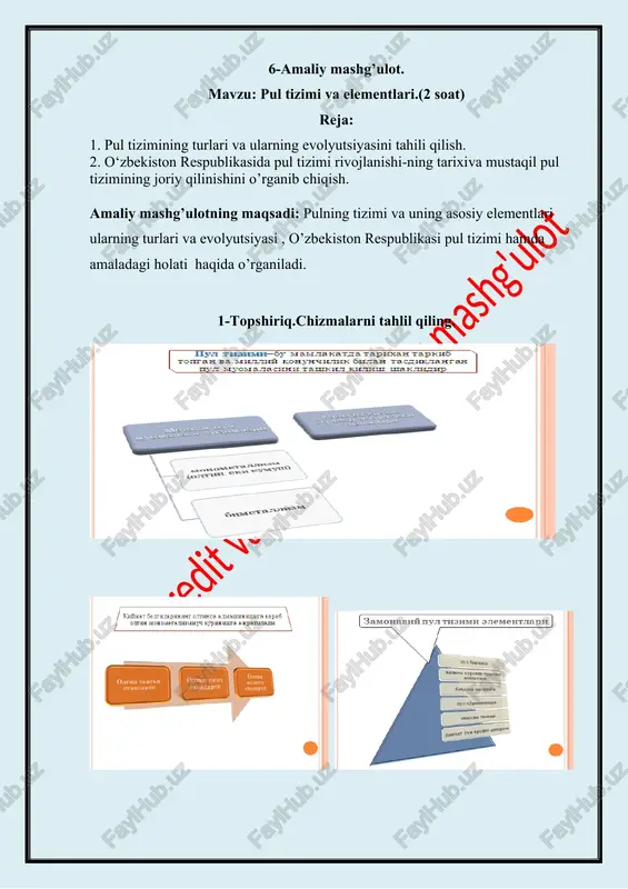 pul tizimi va elementlari — DOCX