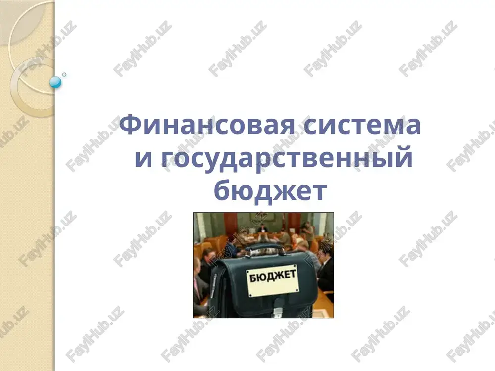 finansovaya sistema i gosudarstvenniy byudjet — PPTX