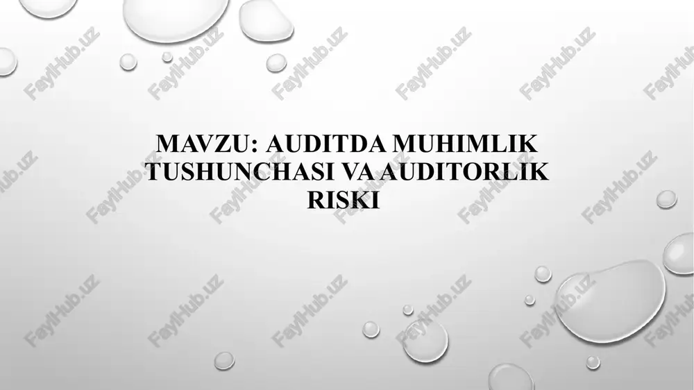 muhimliktushunchasi va auditorlik riski — PPTX
