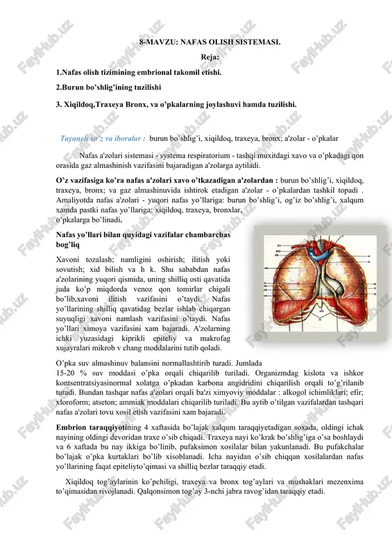 nafas olish sistemasi — DOCX