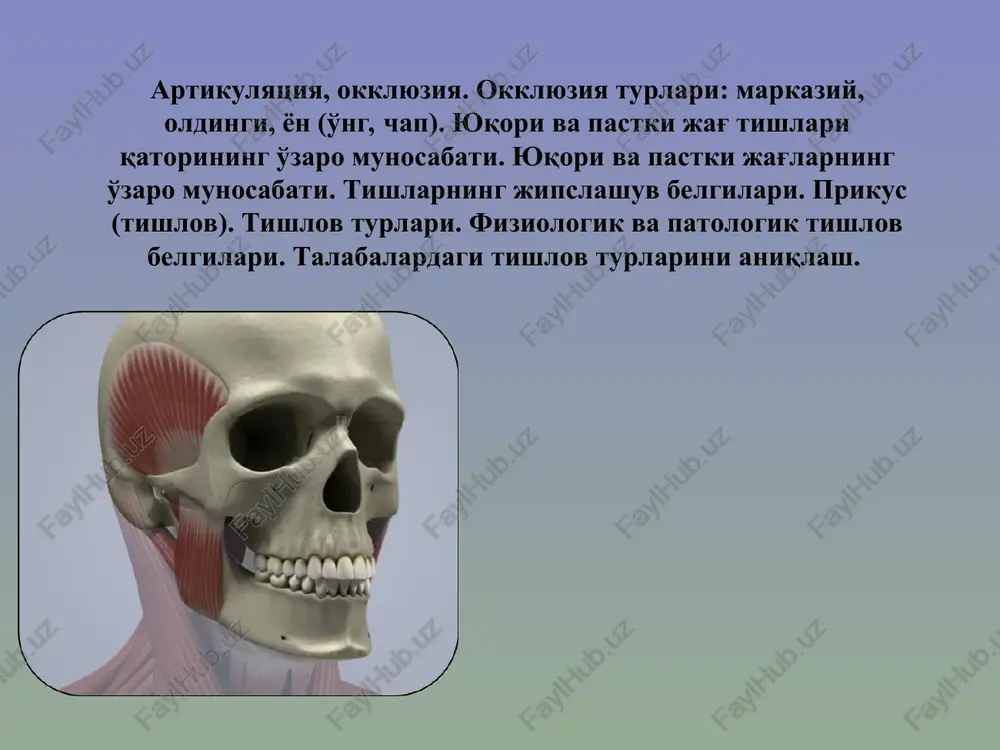 artikulyatsiya, okklyuziya — PPT