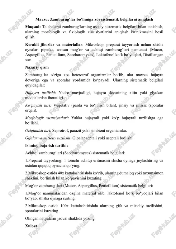 zamburug‘lar tuzilishi — DOCX
