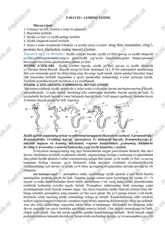ayirish tizimi — DOCX