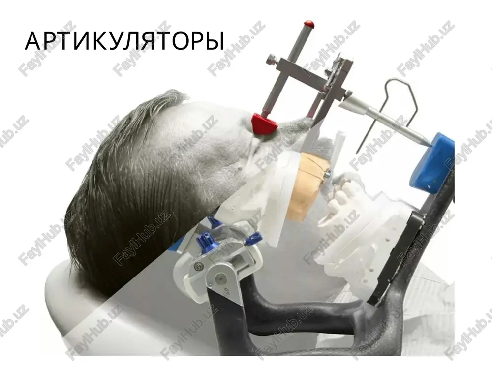 artikulyatori — PPTX