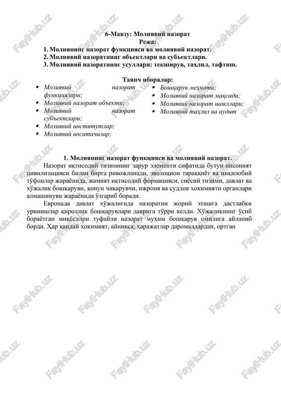 moliyaviy nazorat — DOCX