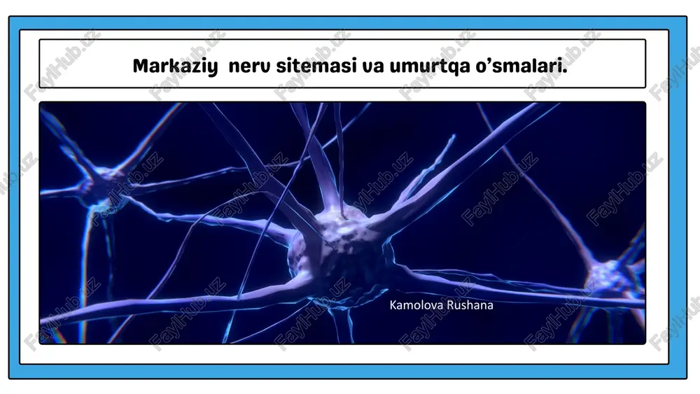 markaziy nerv sitemasi va umurtqa o’smalari — PPTX