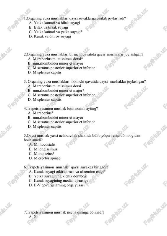 orqaning yuza mushaklari — DOCX