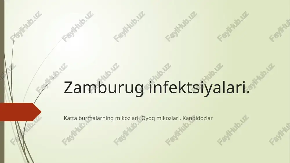 "oyoq mikozi" — PPTX
