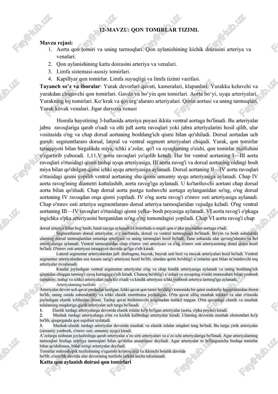 qon tomirlar tizimi — DOCX