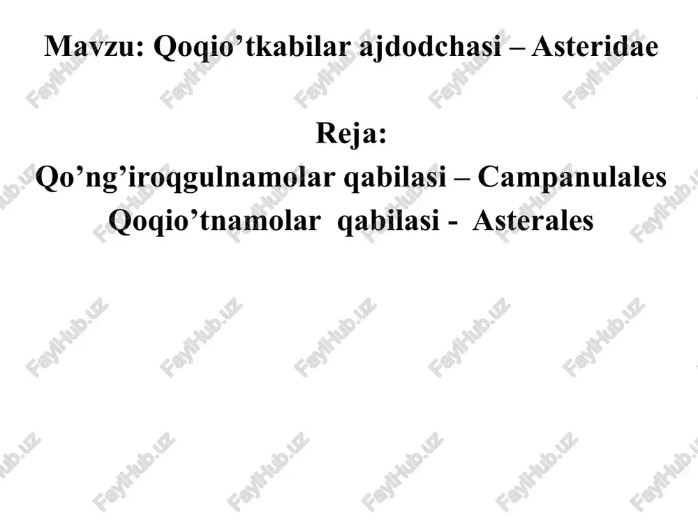 qoqio’tkabilar ajdodchasi – asteridae — PPTX