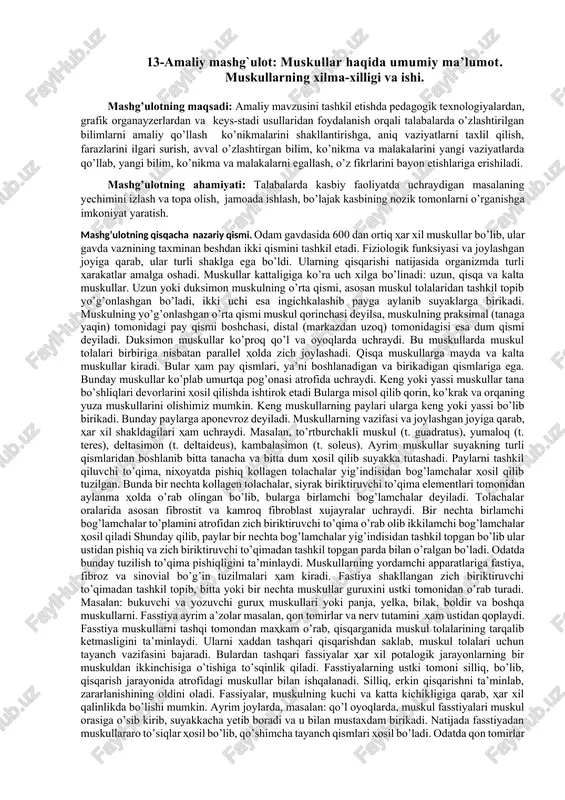 amaliy mashg'ulot: muskullar haqida umumiy ma’lumot — DOCX