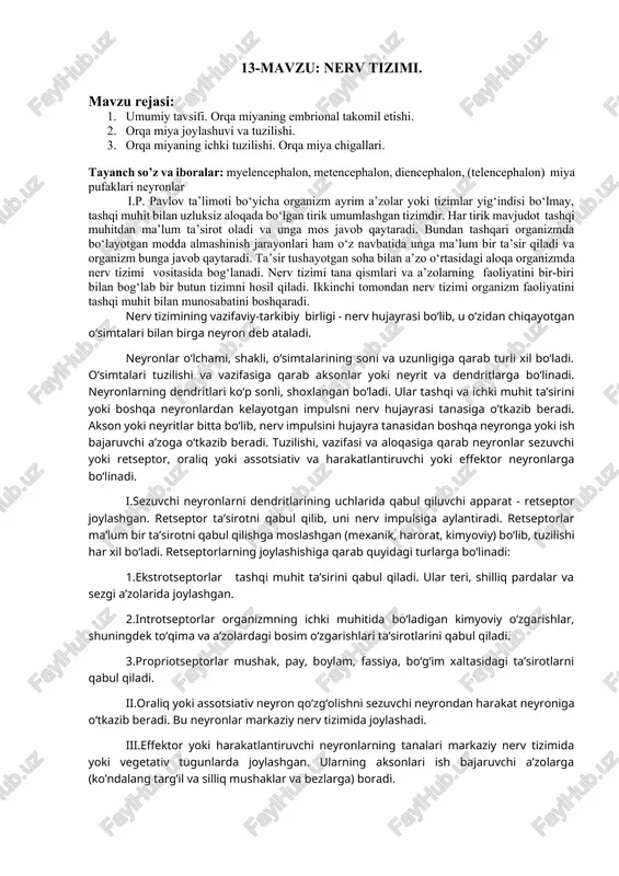 nerv tizimi — DOCX