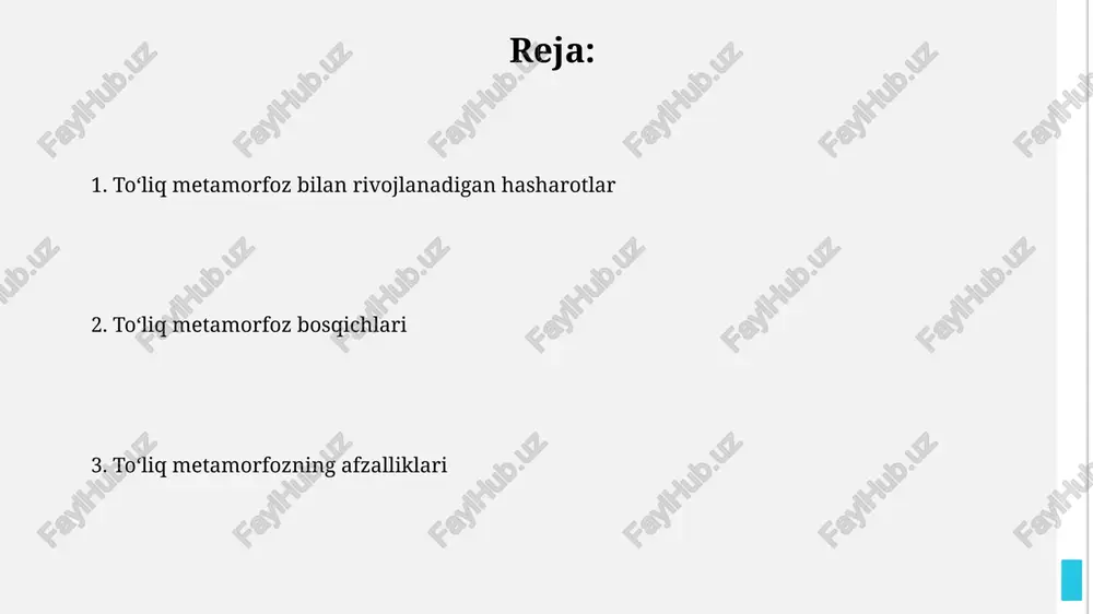 pashshalar (diptera): bir juft qanotning kuchi — PPTX
