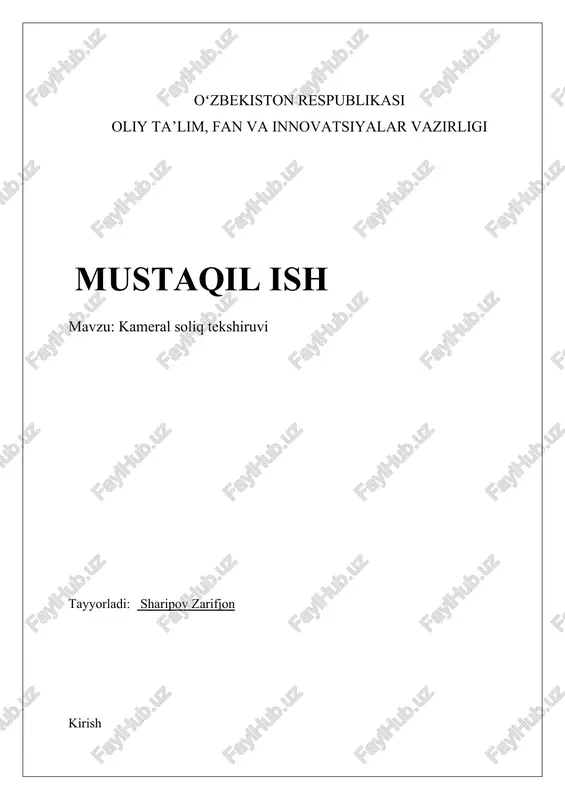 kameral soliq tekshiruvi — DOCX