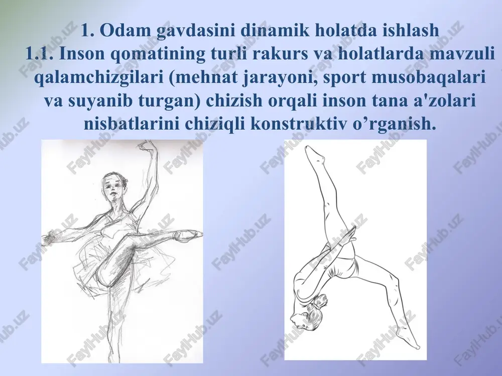 insonqomatining turlari rakurs va holatlarda — PPTX