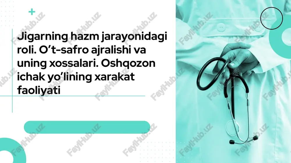 jigarning hazm jarayonidagi roli — PPTX