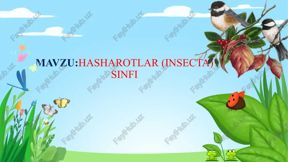 hasharotlar (insecta) sinfi — PPTX