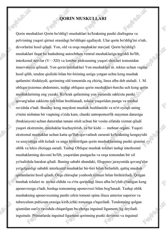 qorin muskullari — DOCX
