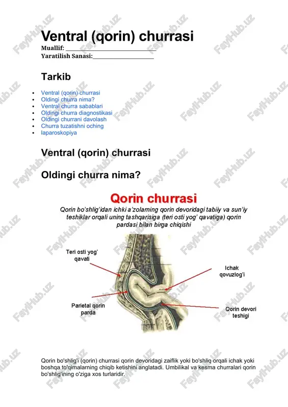 ventral (qorin) churrasi — DOCX