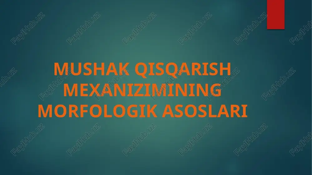 mushak qisqarish mexanizimining morfologik asoslari — PPTX