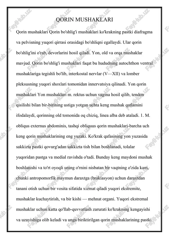 qorin mushaklari — DOCX