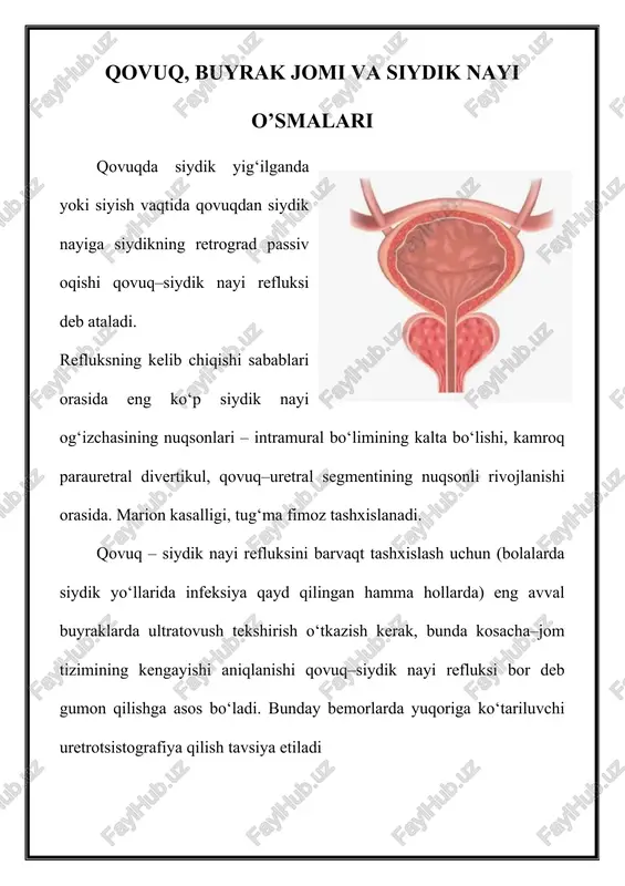 qovuq, buyrak jomi va siydik nayi o’smalari — DOCX