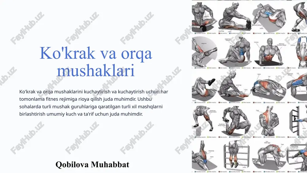 ko'krak va orqa mushaklari — PPTX