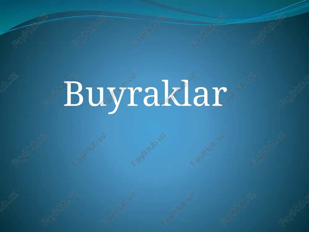 buyraklar — PPTX
