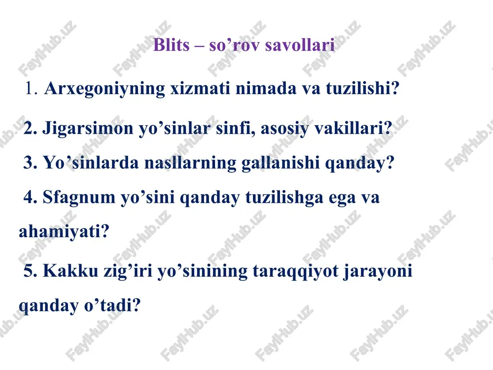 blits – so’rov savollari — PPT